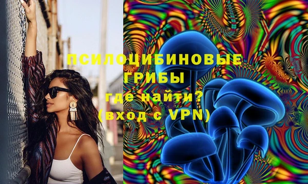 гидра Бугульма
