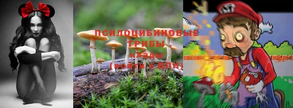 гидра Бугульма