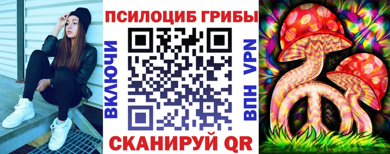 shop какой сайт  Петропавловск-Камчатский  Галлюциногенные грибы мицелий 